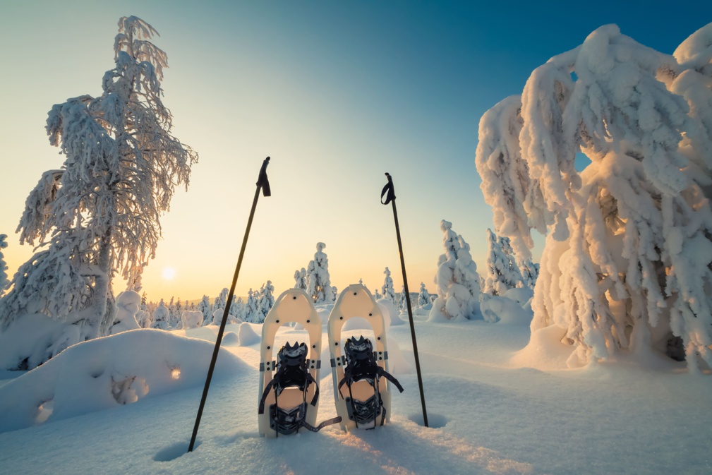 Paysage d'hiver avec arbres enneigés et raquettes à neige © tsuguliev - stock.adobe.com