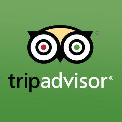 En Italie, le site a été condamné, le 22 décembre 2014, pour avoir fait croire aux consommateurs que les commentaires émanaient tous de touristes alors que certains étaient postés par des professionnels - DR : Tripadvisor