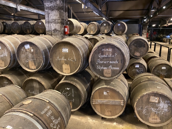 Des milliers de tonneaux en maturation dans les chais Hennessy (©BC)