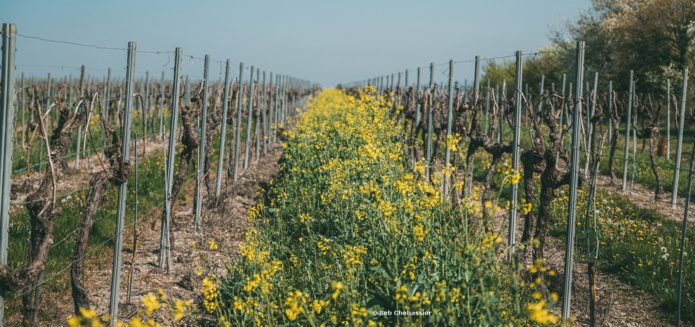 Sentier de la biodiversité Maison Boinaux (©Seb Charpentier)