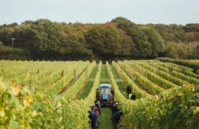 ©balfourwinery.com ©balfourwinery.com