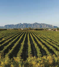 © ACT - Marc Castellet © ACT - Marc Castellet