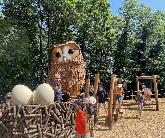 Une chouette hulotte et ses 2 200 plumes (©Agence Skillvalley) Une chouette hulotte et ses 2 200 plumes (©Agence Skillvalley)