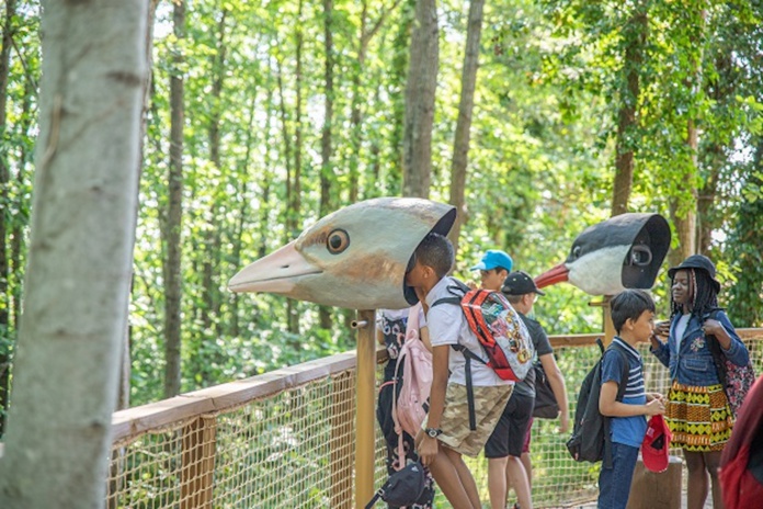 Un voyage au-dessus des arbres en réalité augmentée (©Terra Botanica)