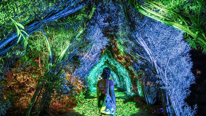 Une nouvelle édition de Terra Nocta cet été (©Terra Botanica) Une nouvelle édition de Terra Nocta cet été (©Terra Botanica)