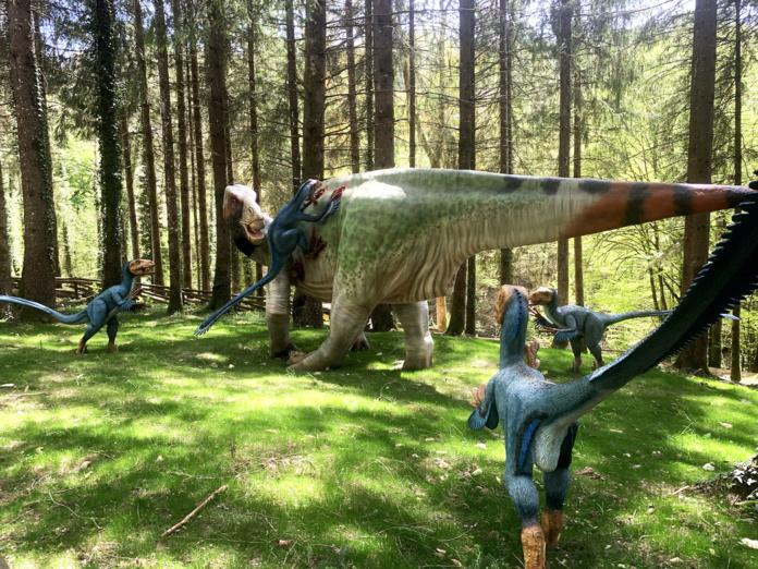 Six redoutables raptors prêts à rapter © DinoZoo