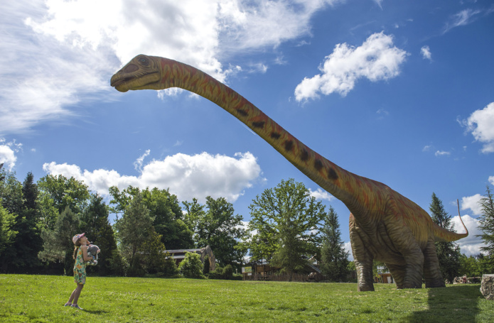 Un Seismosaurus, la plus grande réplique grandeur nature en France (©DinoZoo R. Ravegnani)