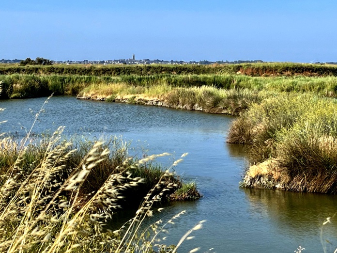 A la campagne, il est plus facile d'offrir une expérience de luxe qui se distingue (Photo Paula Boyer) A la campagne, il est plus facile d'offrir une expérience de luxe qui se distingue (Photo Paula Boyer)