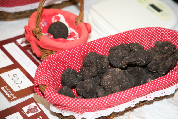 Truffes noires du Périgord - DR : Mathieu Anglada