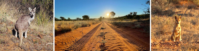 ©Sebastien Cros ©Sebastien Cros