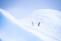 © Studio PONANT - Adrien Morlent © Studio PONANT - Adrien Morlent