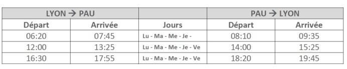 Twin Jet ouvre une nouvelle ligne entre Lyon et Pau