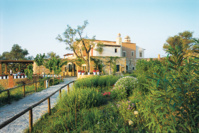 Grecotel Hotels & Resorts : découvrez la formule demi-pension « The Dine Club » et ses nombreux avantages. Grecotel Hotels & Resorts : découvrez la formule demi-pension « The Dine Club » et ses nombreux avantages.