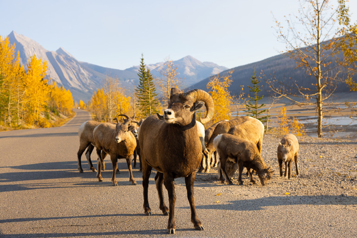 © Destination Canada © Destination Canada