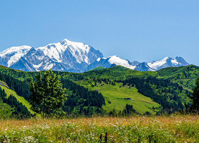 © Emmanuel / AdobeStock © Emmanuel / AdobeStock