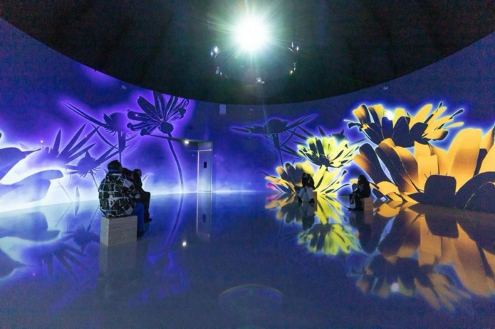 Maison de la Nuit au Tourmalet : Une coupole immersive 360° (©Maison de la Nuit)