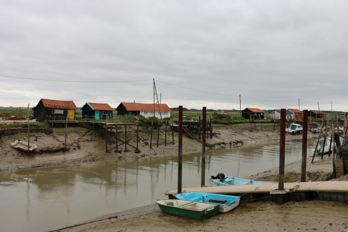 Bassin de Marennes à Vélo : découverte des marais, des canaux, et de l’ostréiculture française - Photo JFR