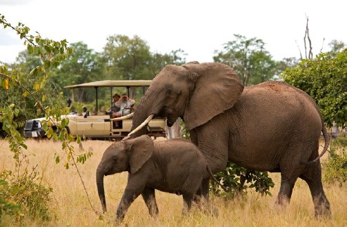 Sanctuary Retreats : séjour gratuit pour les moins de 16 ans en Afrique de l'Ouest