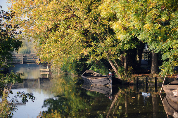 Les terres du marais audomarois sont parcourues par 700 kilomètres de chemins d’eau, les watergangs. C’est par la voie des eaux que se font les plus belles visites : canoë, barque, bateau de promenade - DR : OT St Omer