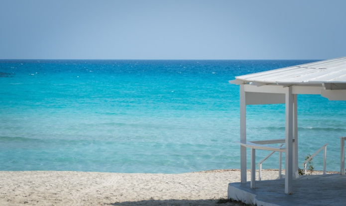 © media nego © media nego