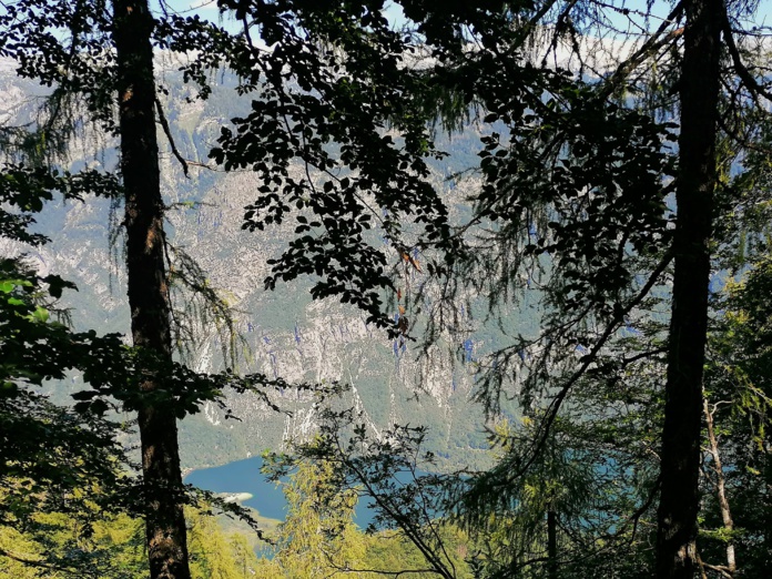 Le lac de Bohinj, depuis la forêt en descendant de la station de ski de Vogel, très prisée des Slovènes l'hiver - DR : Juliette Pic Le lac de Bohinj, depuis la forêt en descendant de la station de ski de Vogel, très prisée des Slovènes l'hiver - DR : Juliette Pic