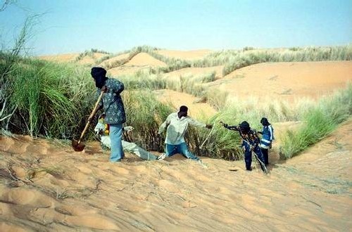 Aérien : 8 euros par passager pour reboiser le Sahel !