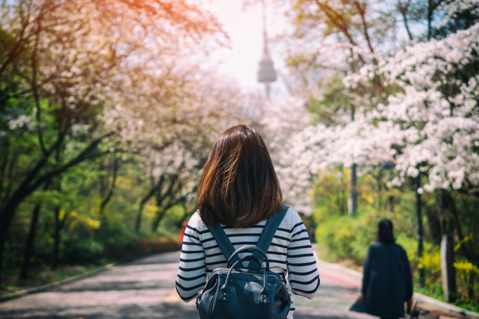 La Corée au printemps avec Cap Corée