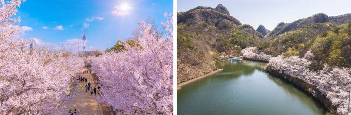 © shutterstock © shutterstock