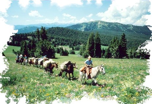 Atalante est le spécialiste des voyages à pied. Cheval d'Aventure propose des voyages à cheval