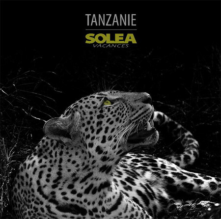 Solea Vacances fait paraître une brochure dédiée Tanzanie, Zanzibar Solea Vacances fait paraître une brochure dédiée Tanzanie, Zanzibar