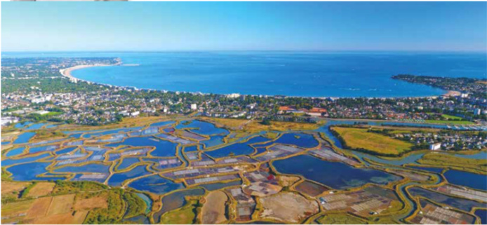 Le groupement Hotels Circuits France organise des séjours de groupes - Cliquez pour consulter la brochure en ligne Le groupement Hotels Circuits France organise des séjours de groupes - Cliquez pour consulter la brochure en ligne