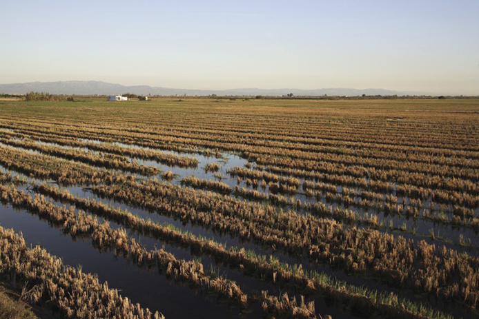 La Ràpita © Miguel Raurich - ACT