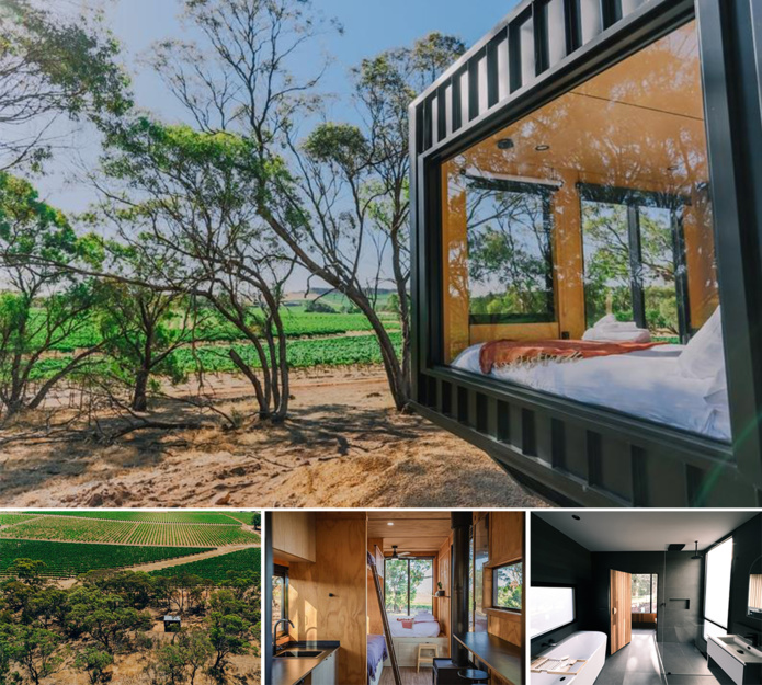 CABN Life à Seppeltsfield © CABN Life CABN Life à Seppeltsfield © CABN Life