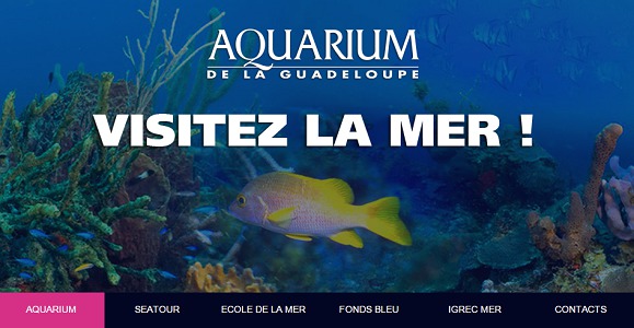 L'Aquarium de la Guadeloupe est l'un des 4 sites de l'archipel labellisés Tourisme et Handicap - Capture d'écran