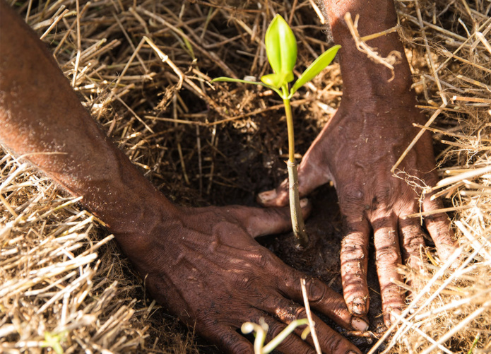 © Iberostar Hotels & Resorts © Iberostar Hotels & Resorts