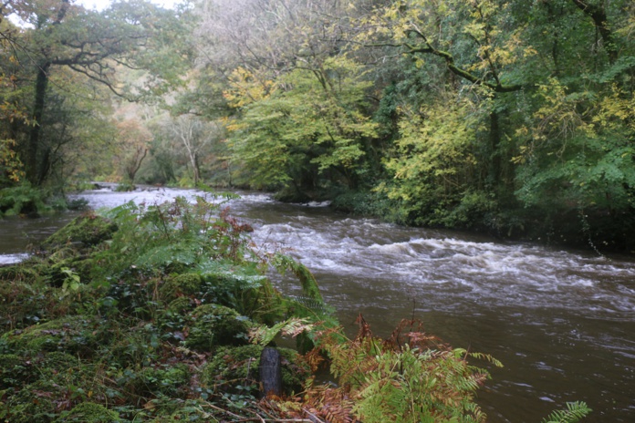 L’Odet file dans un fond de vallée forestière en longeant des rochers granitiques. L’occasion d’une balade 100% nature, réalisable toute l’année, dans les Gorges du Stangala - Photo J.-F.R. L’Odet file dans un fond de vallée forestière en longeant des rochers granitiques. L’occasion d’une balade 100% nature, réalisable toute l’année, dans les Gorges du Stangala - Photo J.-F.R.