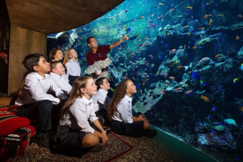 Aquarium d'Atlantis Dubai-DR Atlantis Dubaï