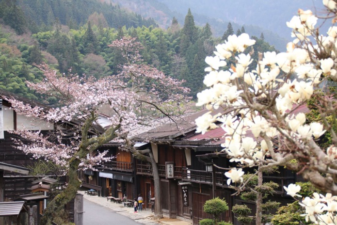 Préfecture de Nagano : au printemps, les cerisiers en fleurs donnent un air encore plus authentique aux villages de maisons traditionnelles (Photo Tourisme de la Préfecture de Nagano)