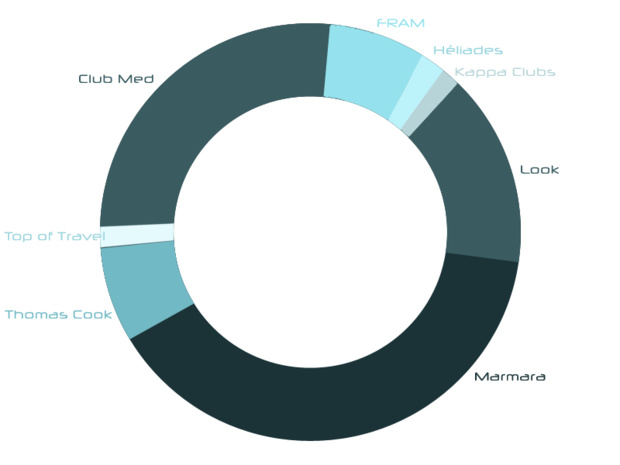 Répartition des parts de marché de chaque tour-opérateurs sur les hôtels-clubs en France.