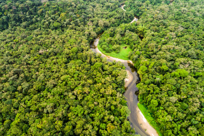 La Guyane terrain de jeu de deux émissions : Echappées Belles et Nos Terres Inconnues (©Deposit Photos)