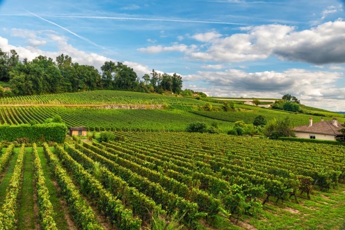 Bourgogne - Photo : Depositphotos.com