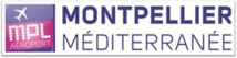 Aéroport de Montpellier : retour à la normale vendredi Aéroport de Montpellier : retour à la normale vendredi