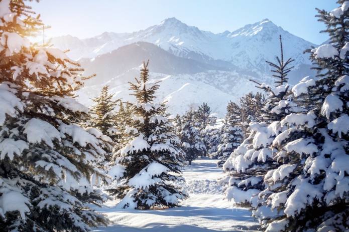 Belambra continue de se développer dans le secteur alpin - Depositphotos @byheaven