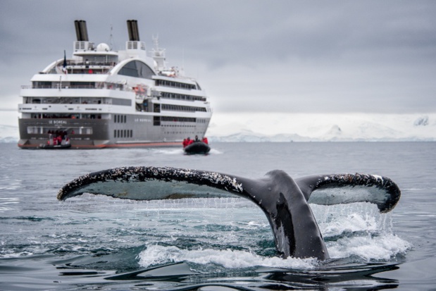 Le Boréal, qui va fêter ses cinq ans, lors d'une croisière en Antarctique, où Le Ponant rafle 50% de parts de marché. DR - Lorraine Turci Ponant