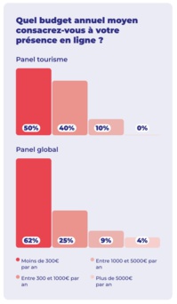 Graphique sur le budget alloué à la présence en ligne - Source Afnic