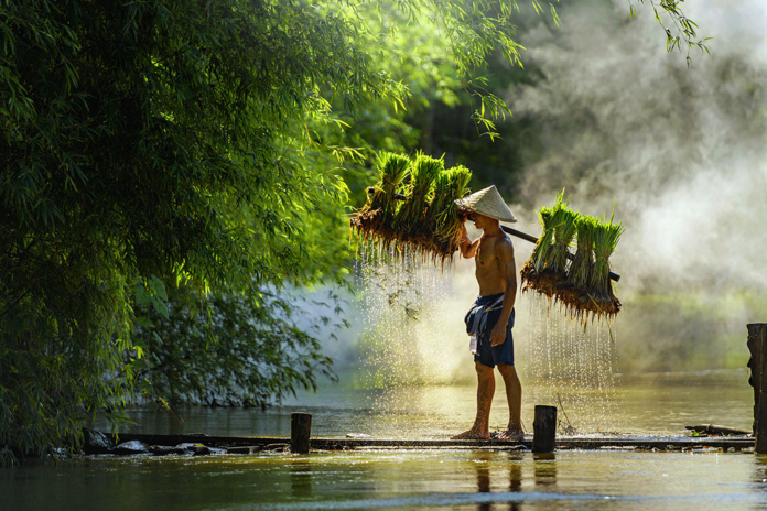 © Getty images © Getty images