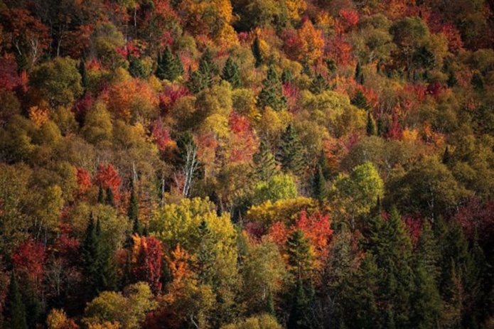 © Emanuela Ascoli / National Geographic France