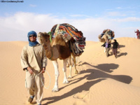 © Envie de Maghreb © Envie de Maghreb