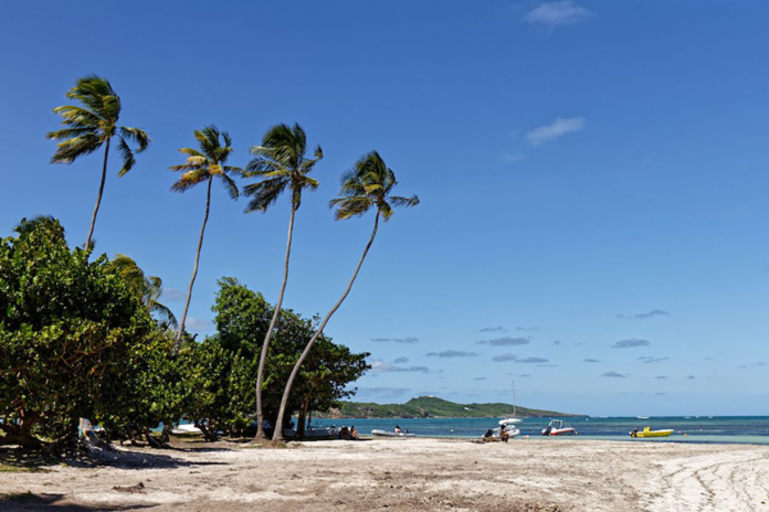 Plage de la Pointe Faula © Adobe Stock