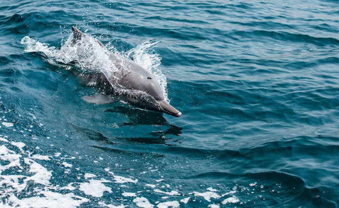 © Adobe Stock © Adobe Stock